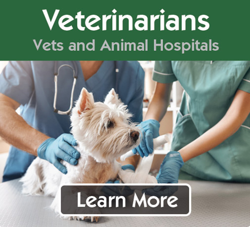 veterinarian and animal hospital supplies