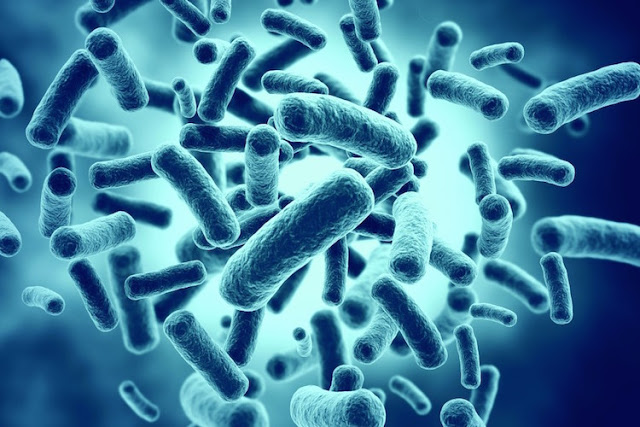 Probiotic image