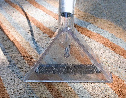 carpet cleaner