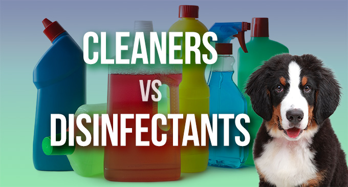 cleaners vs disinfectants