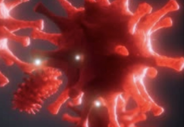 virus disinfect