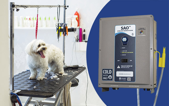 Deploy Ozone to Disinfect Your Environment