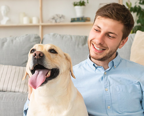 benefits of cbd for pets
