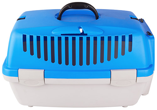 Clean Dog Crates