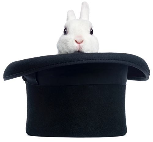 rabbit in hat
