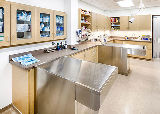 clean vet clinic