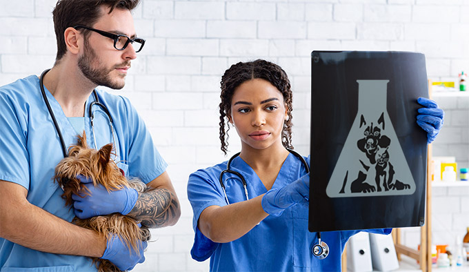 veterinarians use alpha tech pet