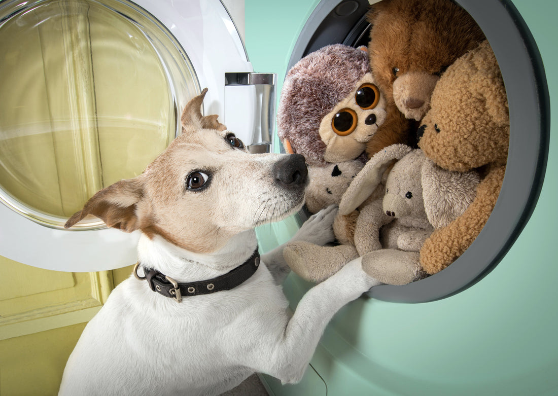 Hazardous Ingredients Commonly Found in Household Laundry Detergents