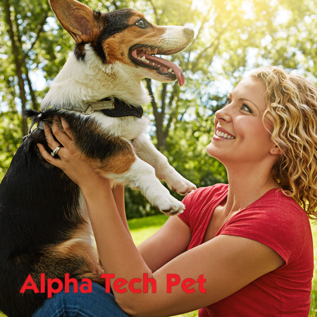 Canine Pneumovirus
