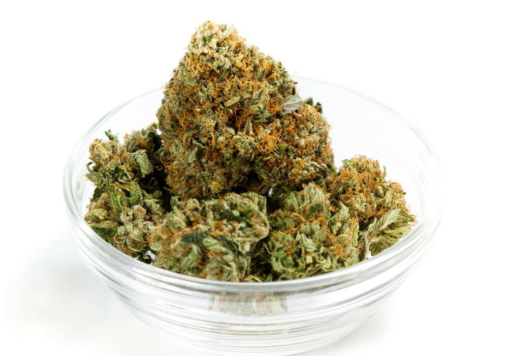 Cannabis History USA Video