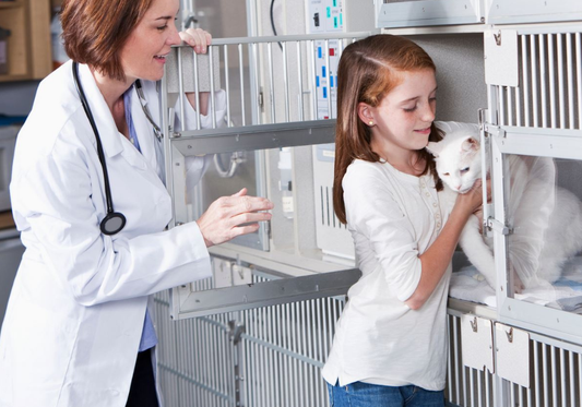 Clean Kennels Fast and Easy with KennelSol Germicidal Cleaner & Deodorant