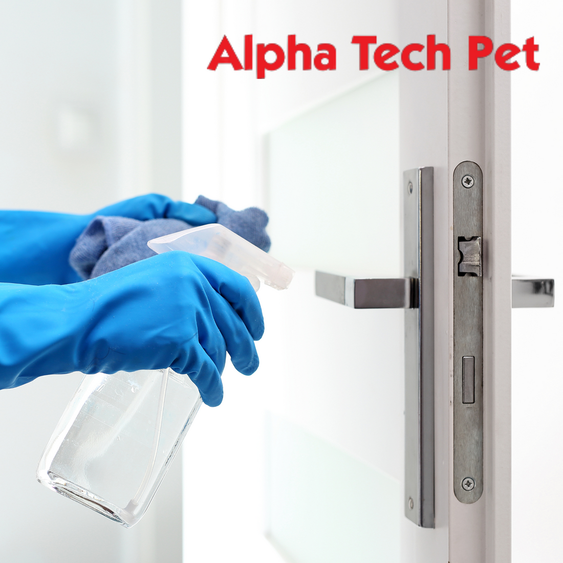 Disinfection Myths