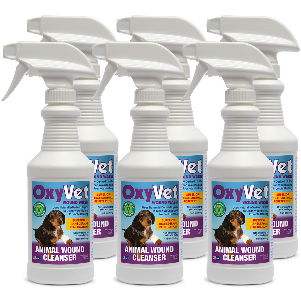 Alpha Tech Pet’s Newest Pet Cleaning and Grooming Products