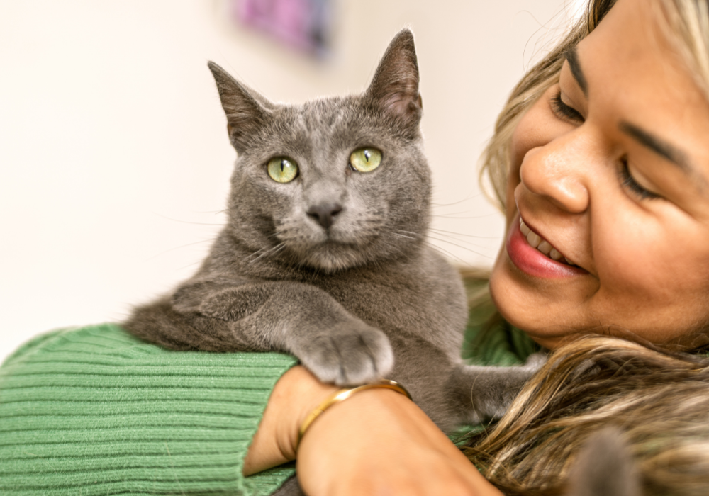 How Our Products Support Animal Wellness from Nose to Tail