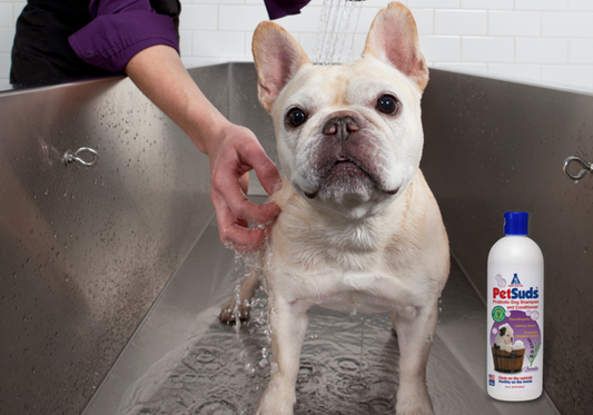 Keep Your Pets Clean With PetSuds Probiotic Dog Shampoo