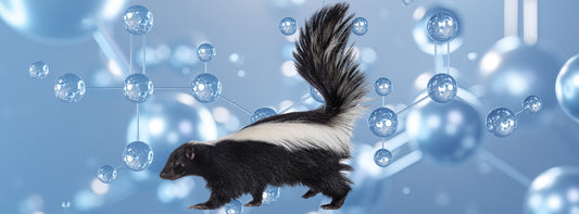 How SKUNKAWAY Works