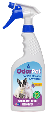 Easy Pet Odor Removal Tips and Tricks