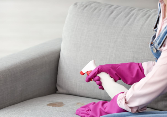 Pet Odor & Stain Removers