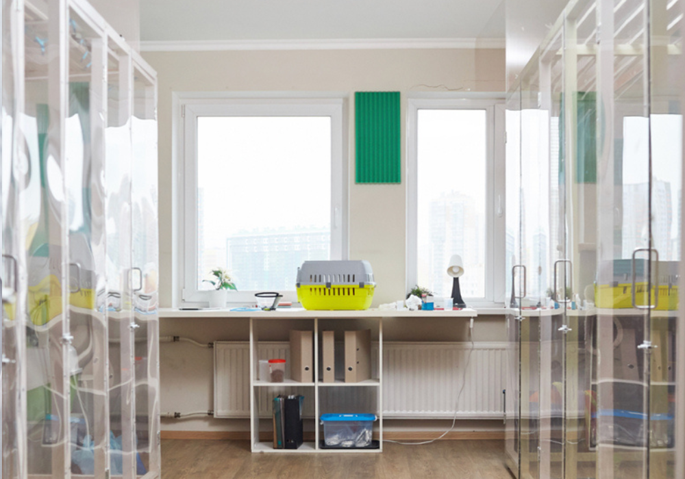 Proper Cleaning and Disinfection Protocols in Veterinary Clinics: Best Practices