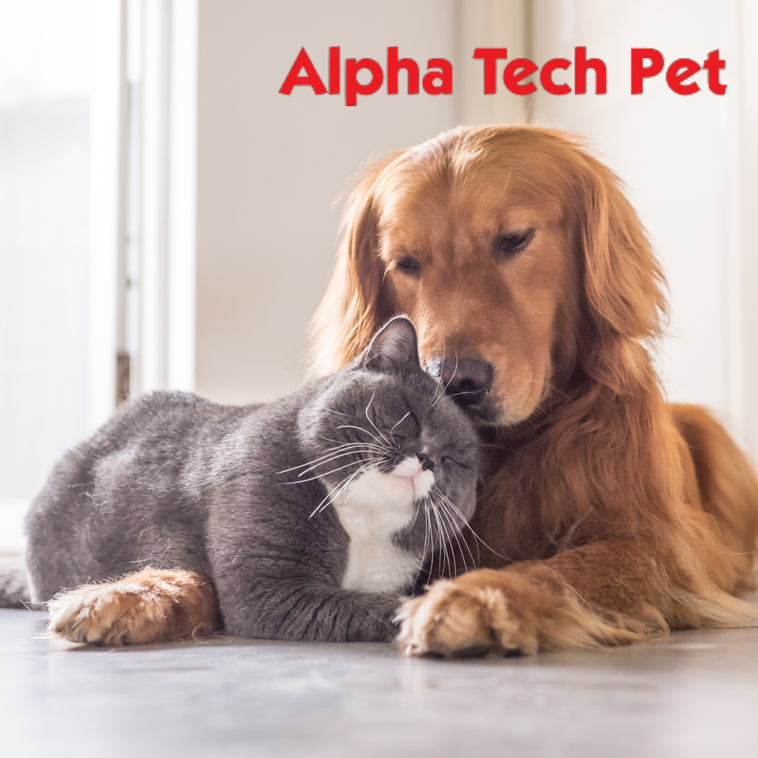Remove Pet Hair and Debris Fast and Easy