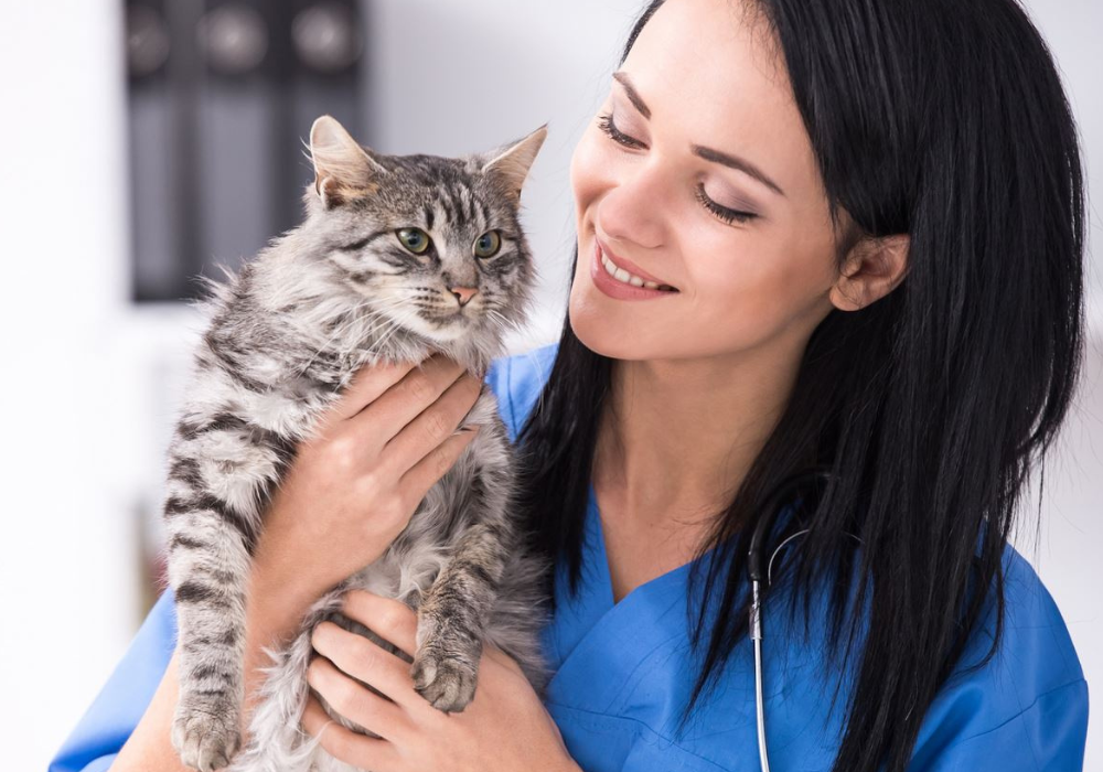 The Benefits of Air Purification in Your Animal Facility