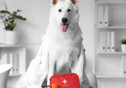 The Importance of Emergency Preparedness