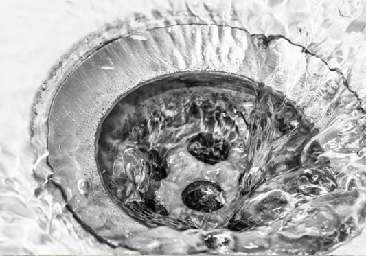 Understanding the Causes of Drain Odor in Pet Facilities