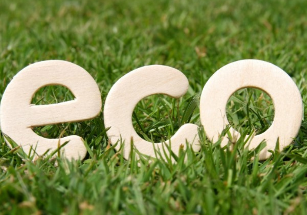 What Makes Eco-Friendly Products Effective?