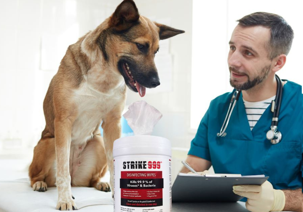 Why You Need Pet Disinfecting Wipes