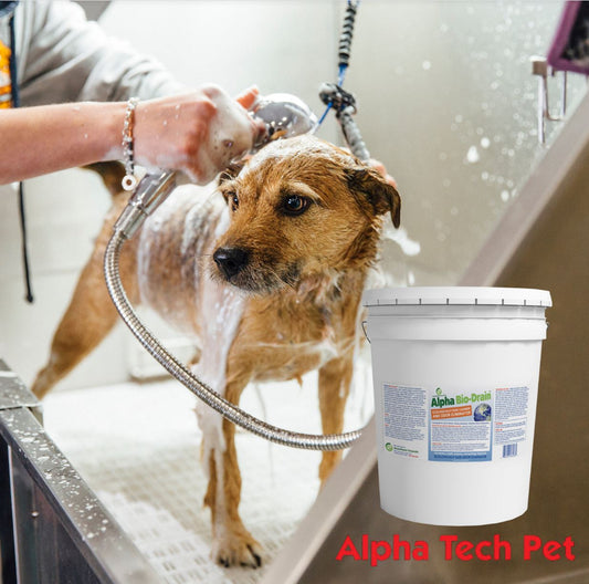 Animal Care Facility Sewage System Cleaner - Alpha Bio-Drain