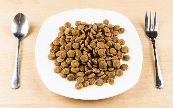 Steramine Sanitizing Tablets: The Key to Cleanliness
