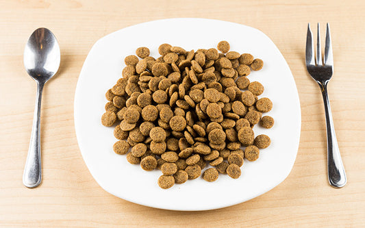 Steramine Sanitizing Tablets: The Key to Cleanliness