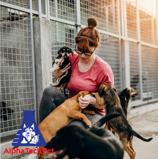 Recommended Animal Shelter Products