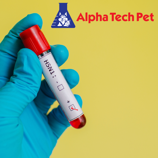 Best Practices to Guard Against Avian Influenza