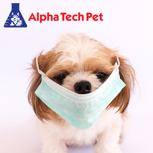 Mysterious Canine Respiratory Illness in the United States: Understanding Atypical Respiratory Disease