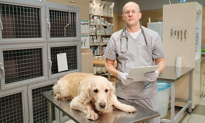 How Do I Clean My Vet Clinic?