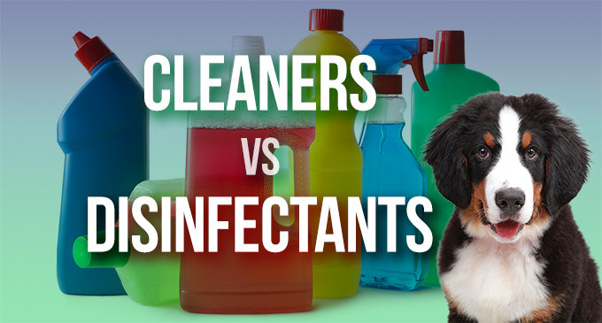 Cleansers Versus Disinfectants and How They Work for A Veterinary Practice
