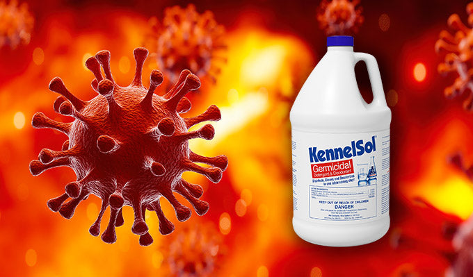 Is KennelSol® Effective Against Coronavirus?