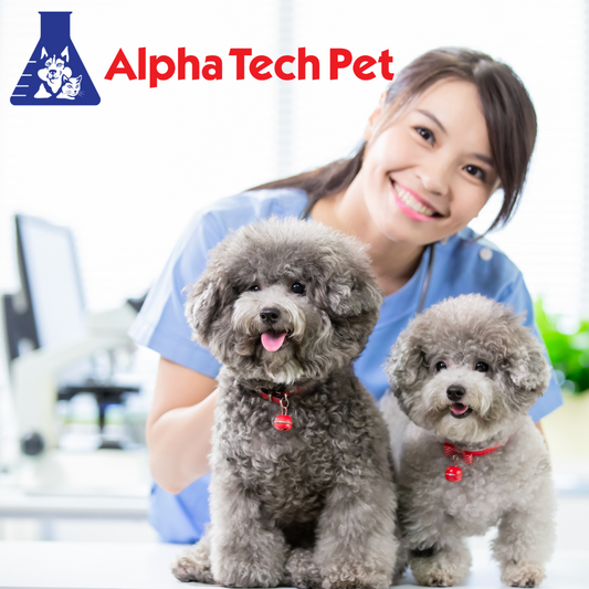 Preventing Cross-Contamination in Veterinary Clinics: Strategies and Procedures