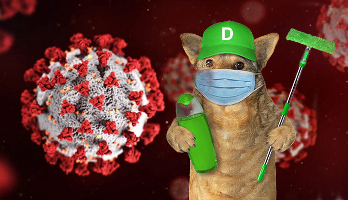 Spill the D: All About Dogs, Delta Variant, and Disinfectants