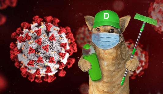 Spill the D: All About Dogs, Delta Variant, and Disinfectants