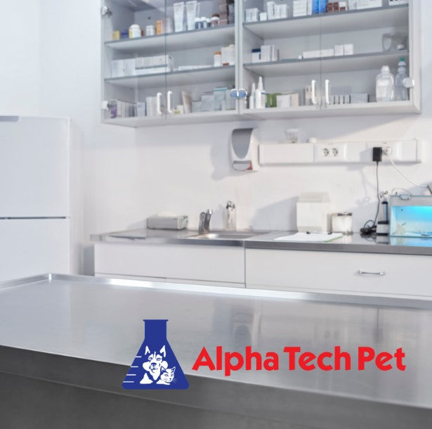 What Are the Dirtiest Things in a Vet Office and How to Clean Them
