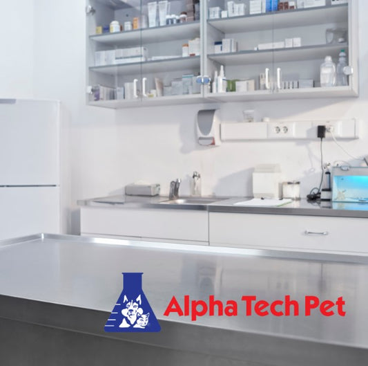 What Are the Dirtiest Things in a Vet Office and How to Clean Them
