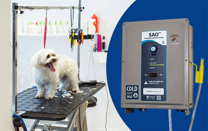 Deploy Ozone to Disinfect Your Environment