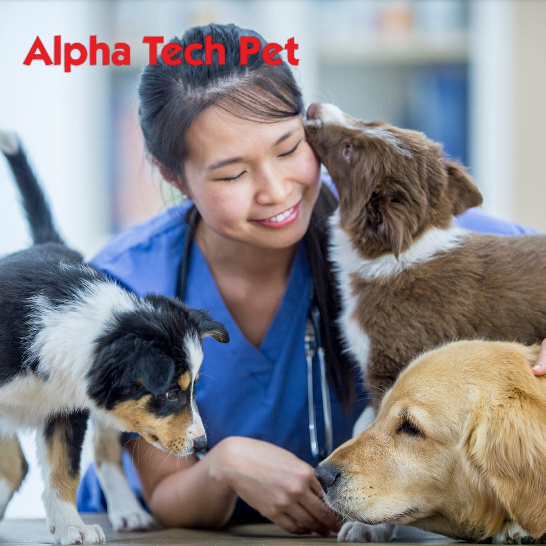 Eco-Friendly Ways Scent Can Benefit Your Veterinary Clinic