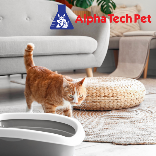 The Role of Enzymatic Cleaners in Neutralizing Pet Urine Odor