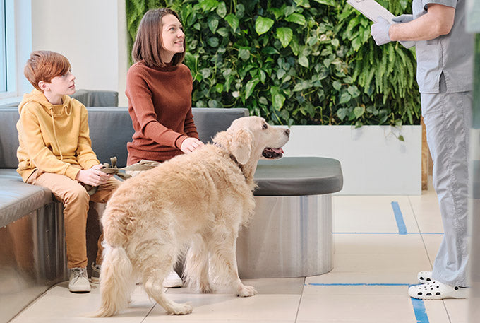 Keep Your Pet and Animal Business Odor Free