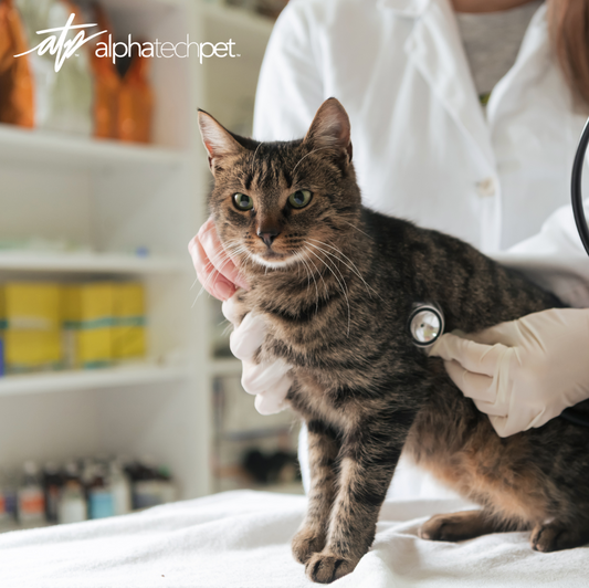 Alpha Tech Pet, Inc. Sets New Standards in Indoor Air Quality for Animal Care Facilities