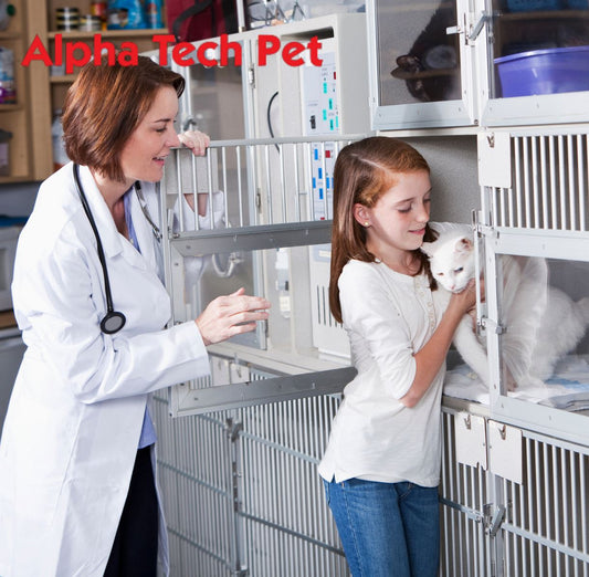 Clean Kennels Fast and Easy with KennelSol Germicidal Cleaner & Deodorant