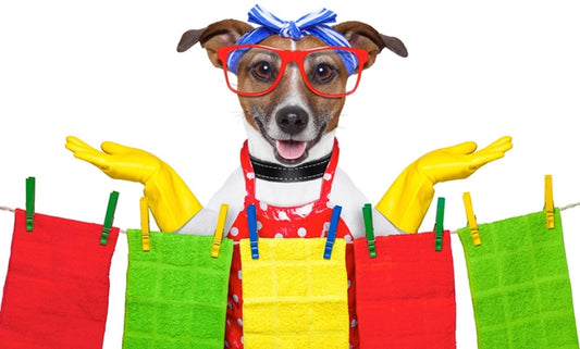 Pet Laundry and The Art of Creating A Beautiful Smelling Environment